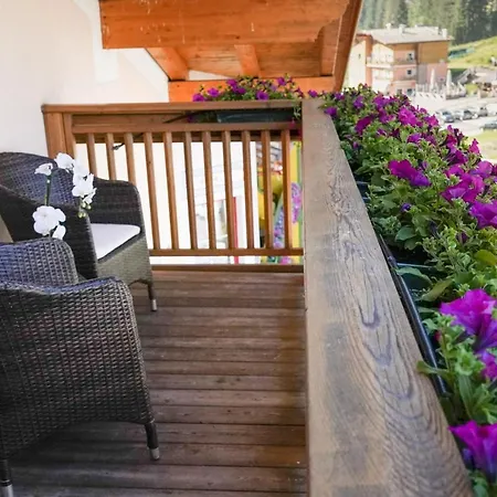 Hotel Alba Wellness & 3*